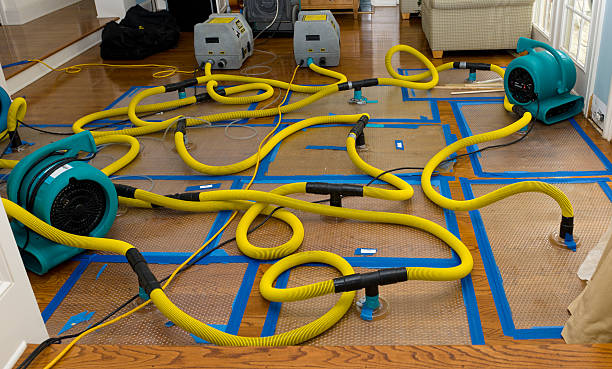 Professional Burst Pipe Water Damage technician working in Shelbyville, IL
